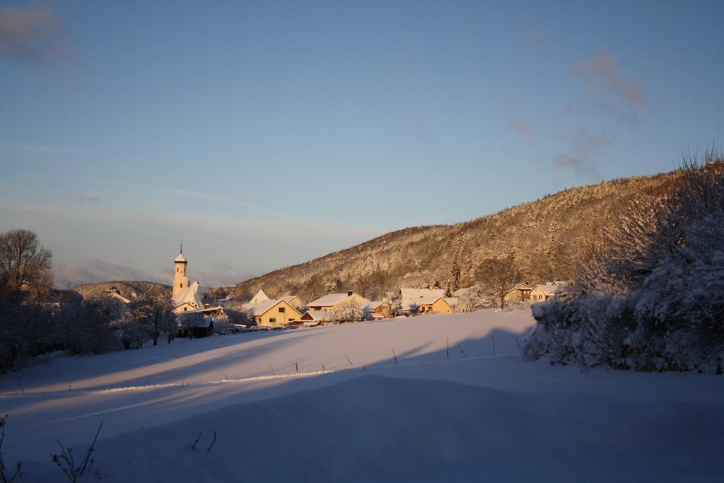 Hotel-Gasthof Zur Krone Riedenburg Esterno foto